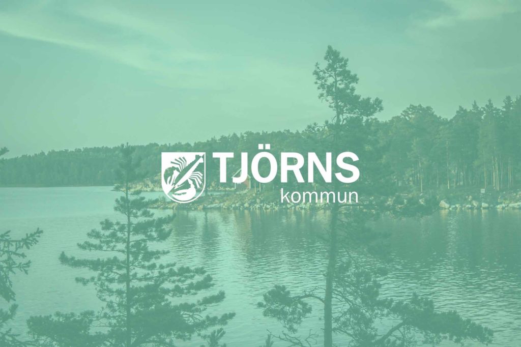 Ett projekt som startade med att undersöka vilka IT-system som är extra känsliga ur en GDPR-synpunkt födde insikten att reservrutiner när system slutar fungera saknades...