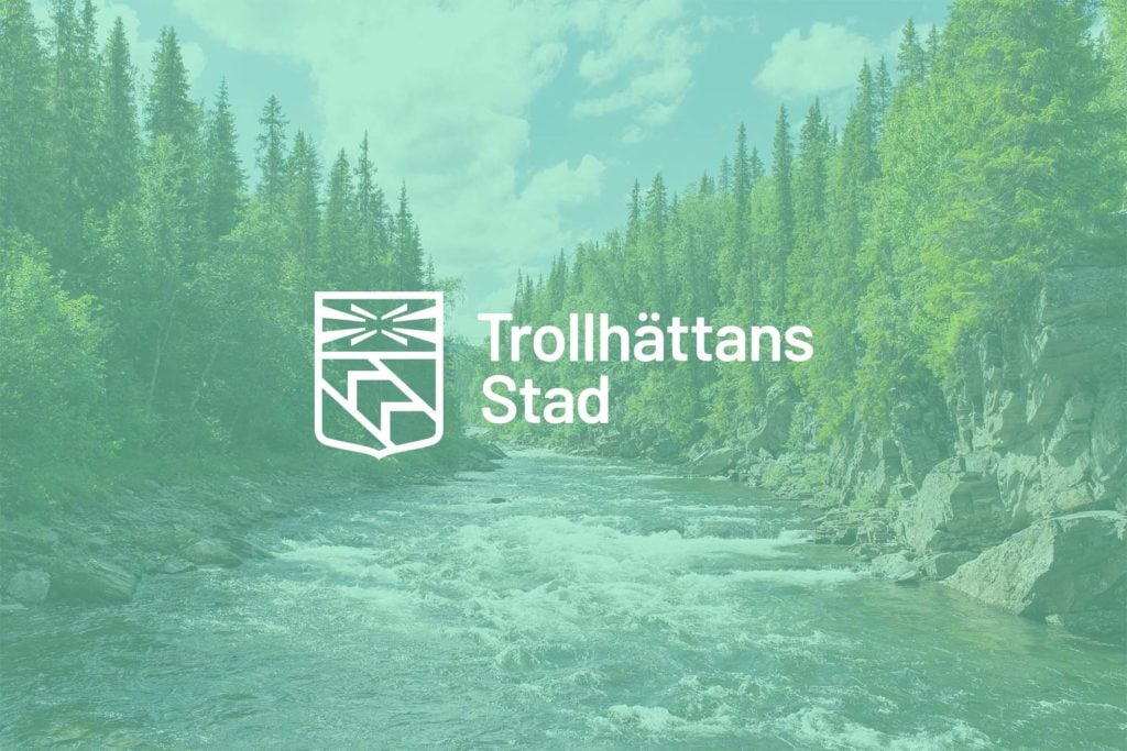 Avsaknad av lämpligt stöd för verksamheten ledde till att DirSys IT-upphandlingskonsult Sanna Helenius under våren 2018...